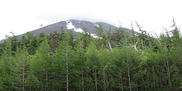 富士山